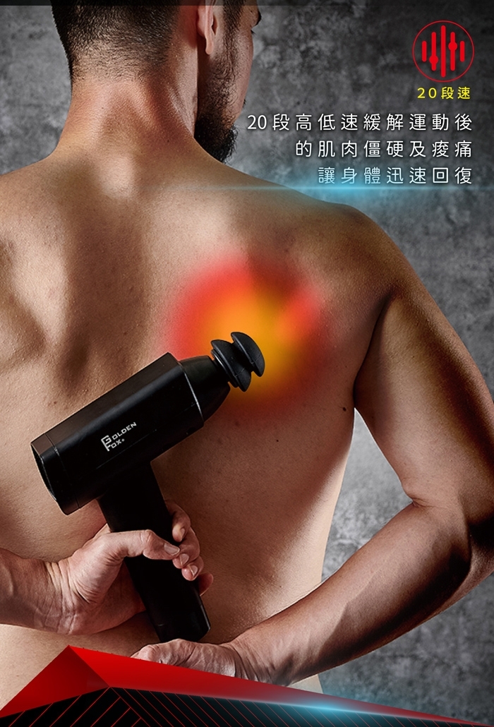 GOLDEN FOX GF-916 - 詳情3