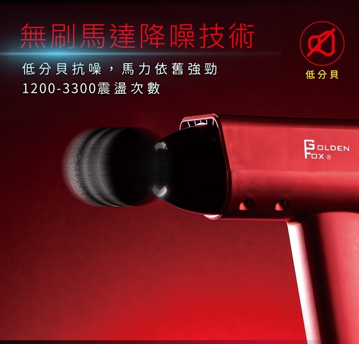 GOLDEN FOX GF-916 - 詳情4