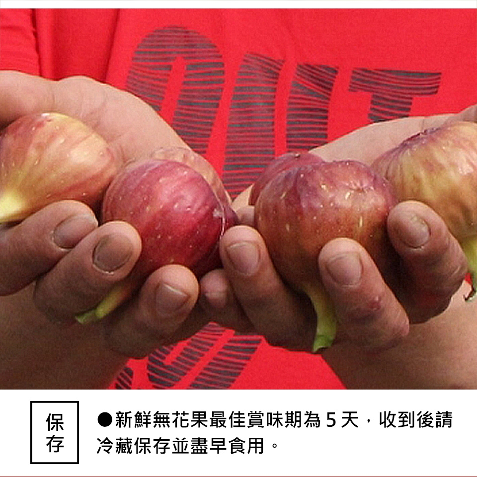 一籃子》彰化田尾有機無花果(1斤/箱) | 其他水果| Yahoo購物中心