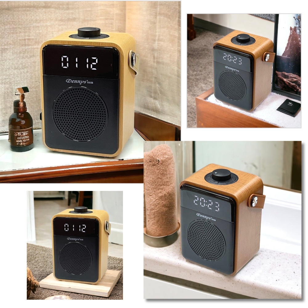 Dennys WS-D1 - 詳情1