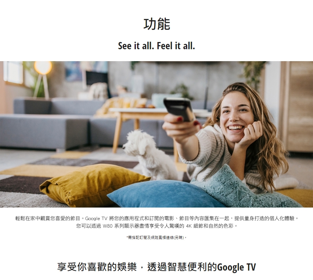 Panasonic國際牌 TN-43S60AGT - 詳情4