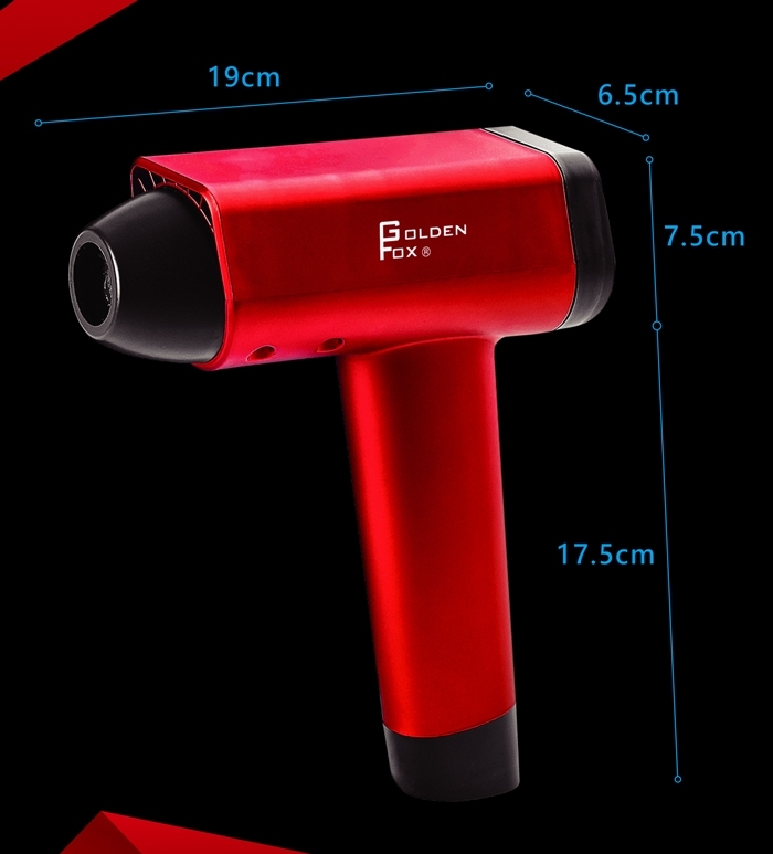 GOLDEN FOX GF-916 - 詳情6