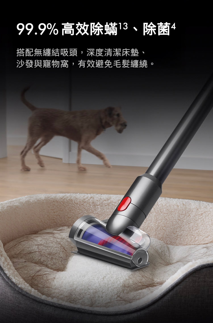 Dyson戴森 SV47 - 詳情4