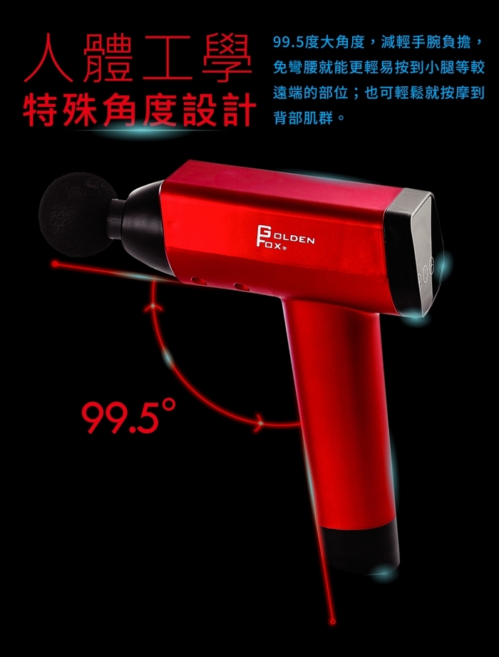 GOLDEN FOX GF-916 - 詳情7