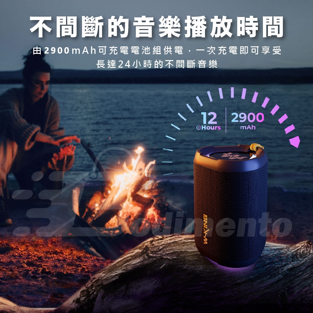 W-KING D110 - 詳情1