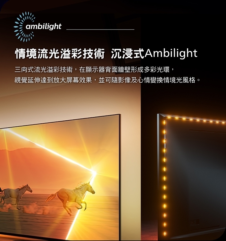 PHILIPS飛利浦 65PML9108 - 詳情1