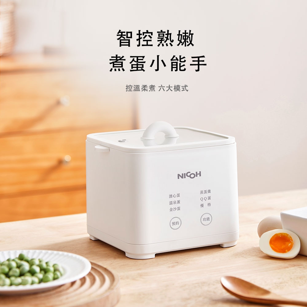 NICOH NEG-05 - 詳情2