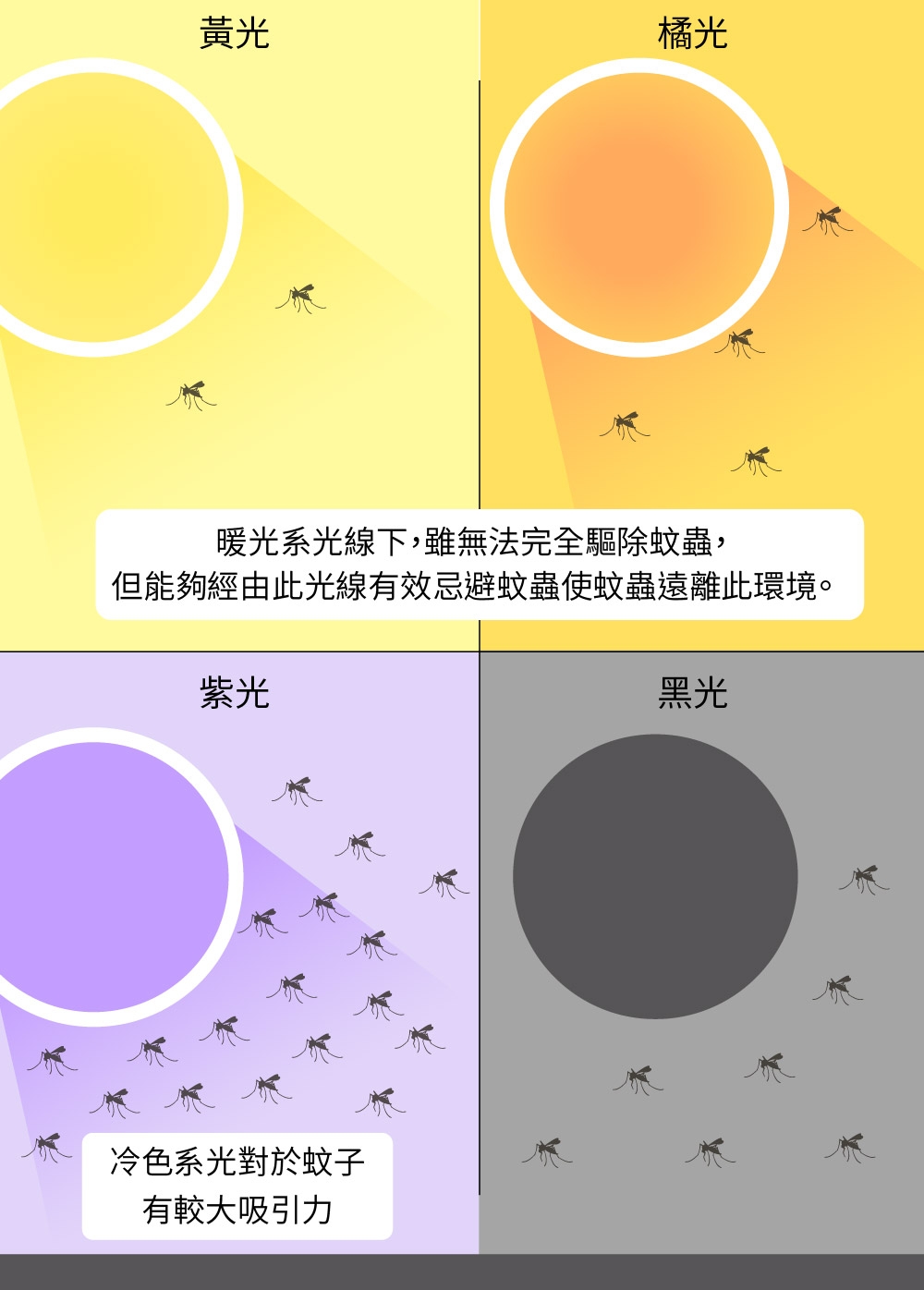 DigiMax UP-11M - 詳情2