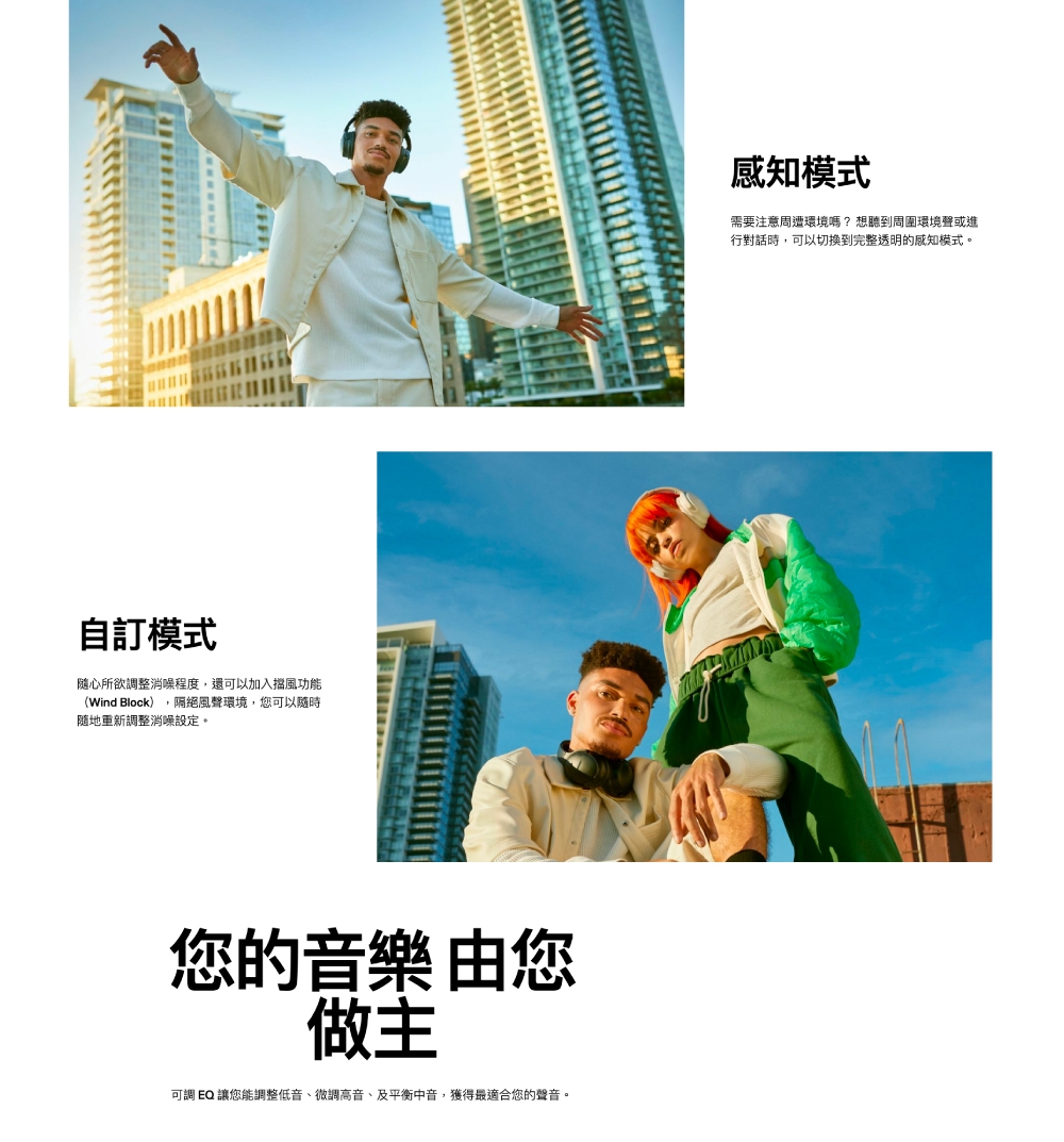 Bose Quiet Comfort - 詳情1