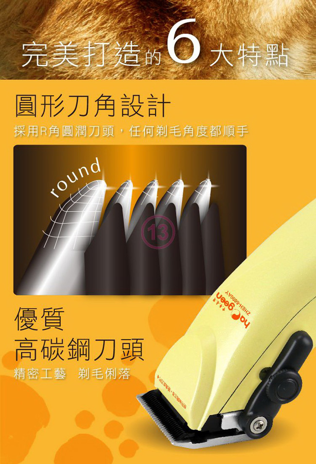 中華豪井 ZHEH-6600AY - 詳情1