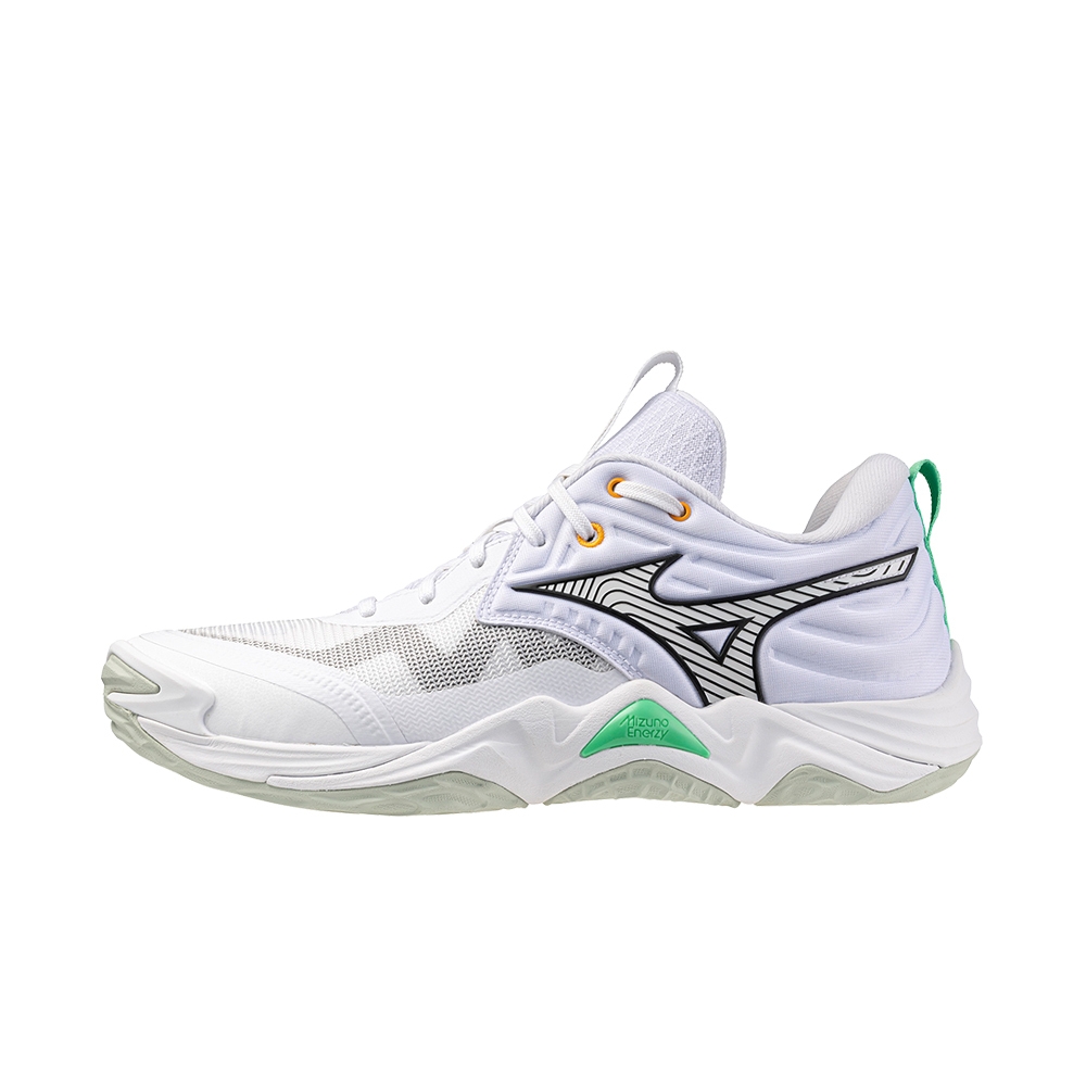 mizuno WAVE MOMENTUM ELITE 25cm 全日本　限定 mizuno WAVE MOMENTUM ELITE 25cm 全日本 限定 - メルカリ