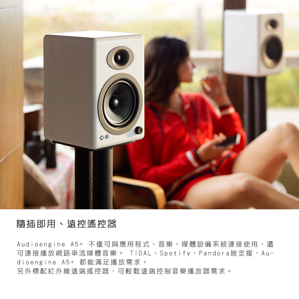 Audioengine A5+ - 詳情5