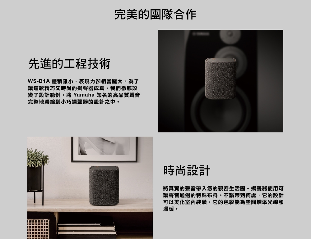 YAMAHA山葉 WS-B1A - 詳情3