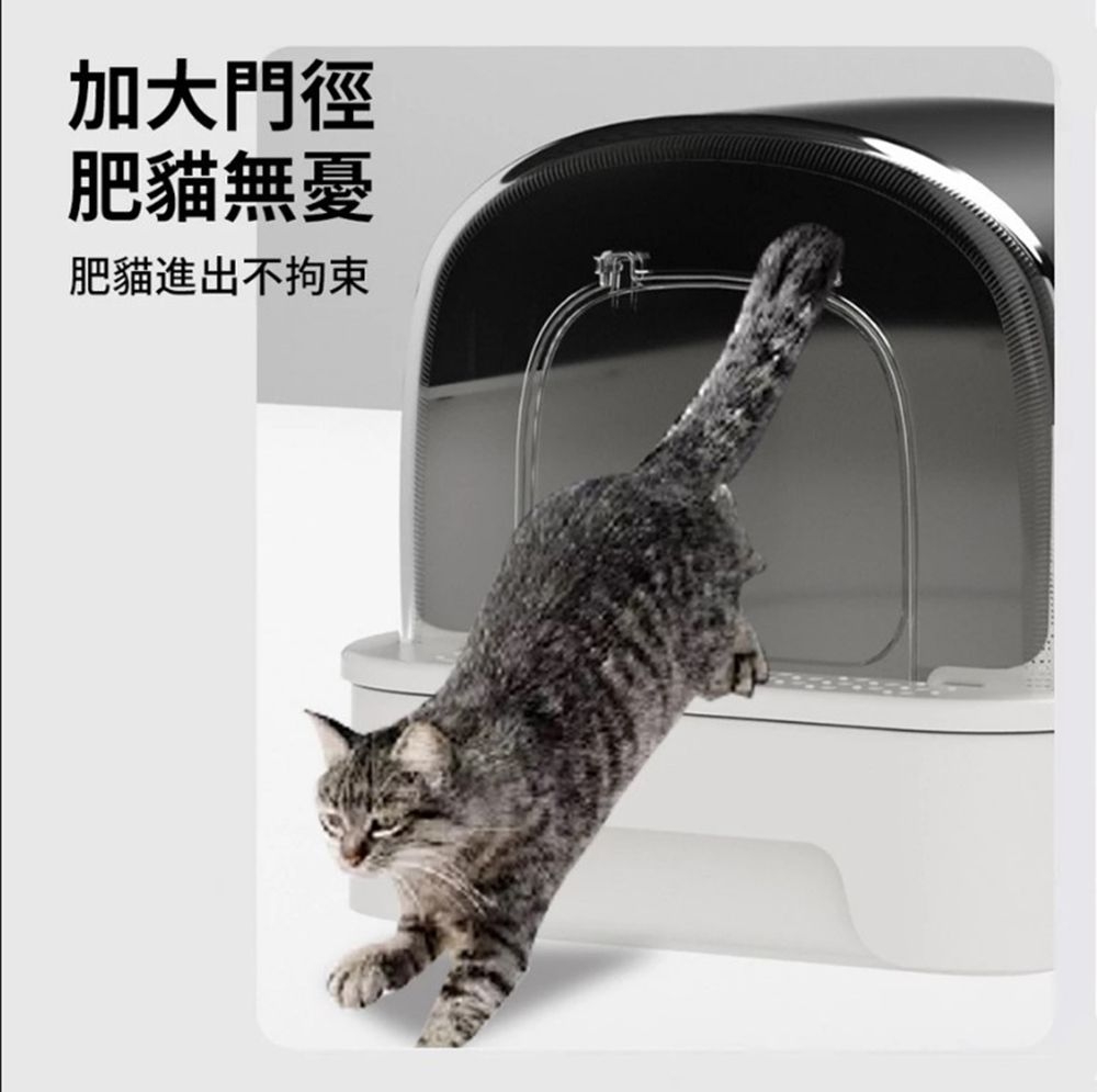 加大門徑肥貓無憂肥貓進出不拘束