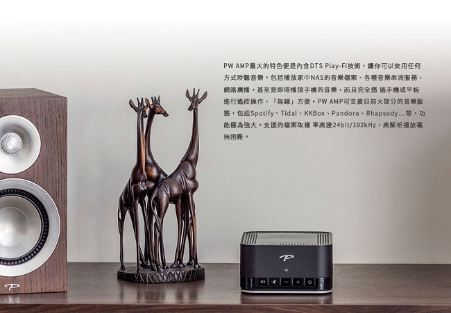 Paradigm Monitor SE Atom - 詳情1