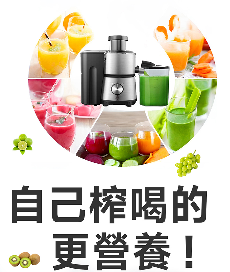 KINGPRO鳳梨牌 EX-001SS - 詳情2