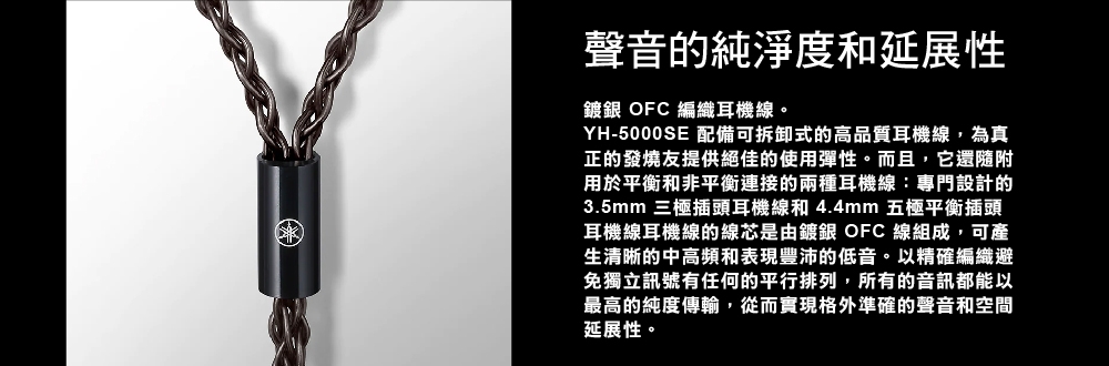 YAMAHA山葉 YH-5000SE - 詳情4