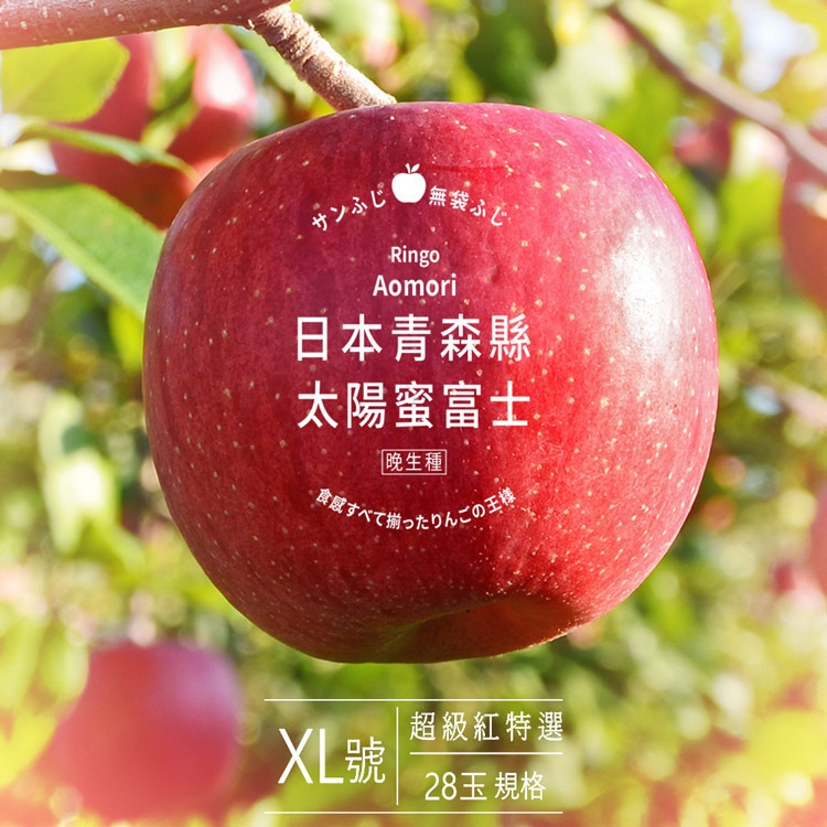 最大規格】日本青森縣太陽富士蜜蘋果XL號｜超級紅特選28玉｜空運到貨