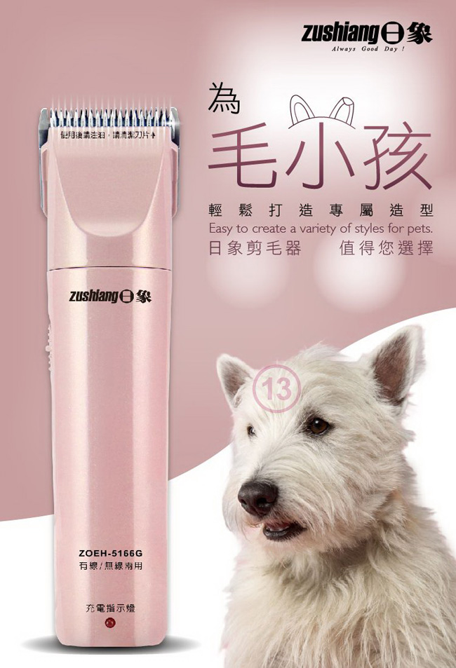 日象ZUSHIANG  ZOEH-5166G - 詳情1