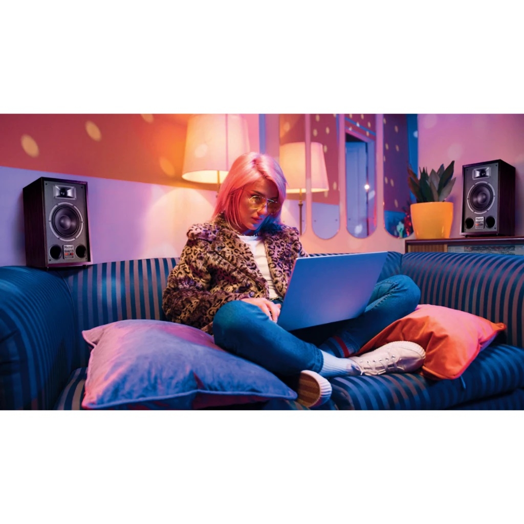 Magnat Transpuls 800A - 詳情1