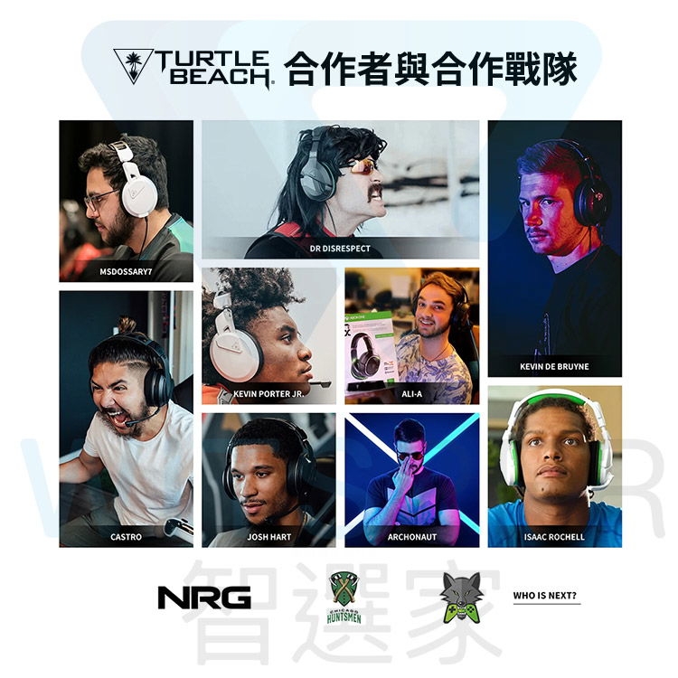 Turtle Beach Stealth Pro - 詳情7