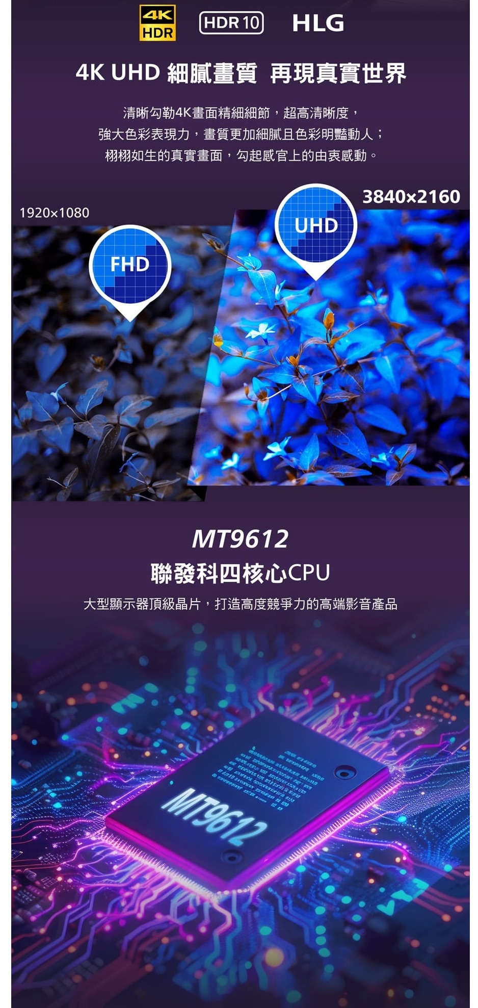 PHILIPS飛利浦 65PQT8169 - 詳情2