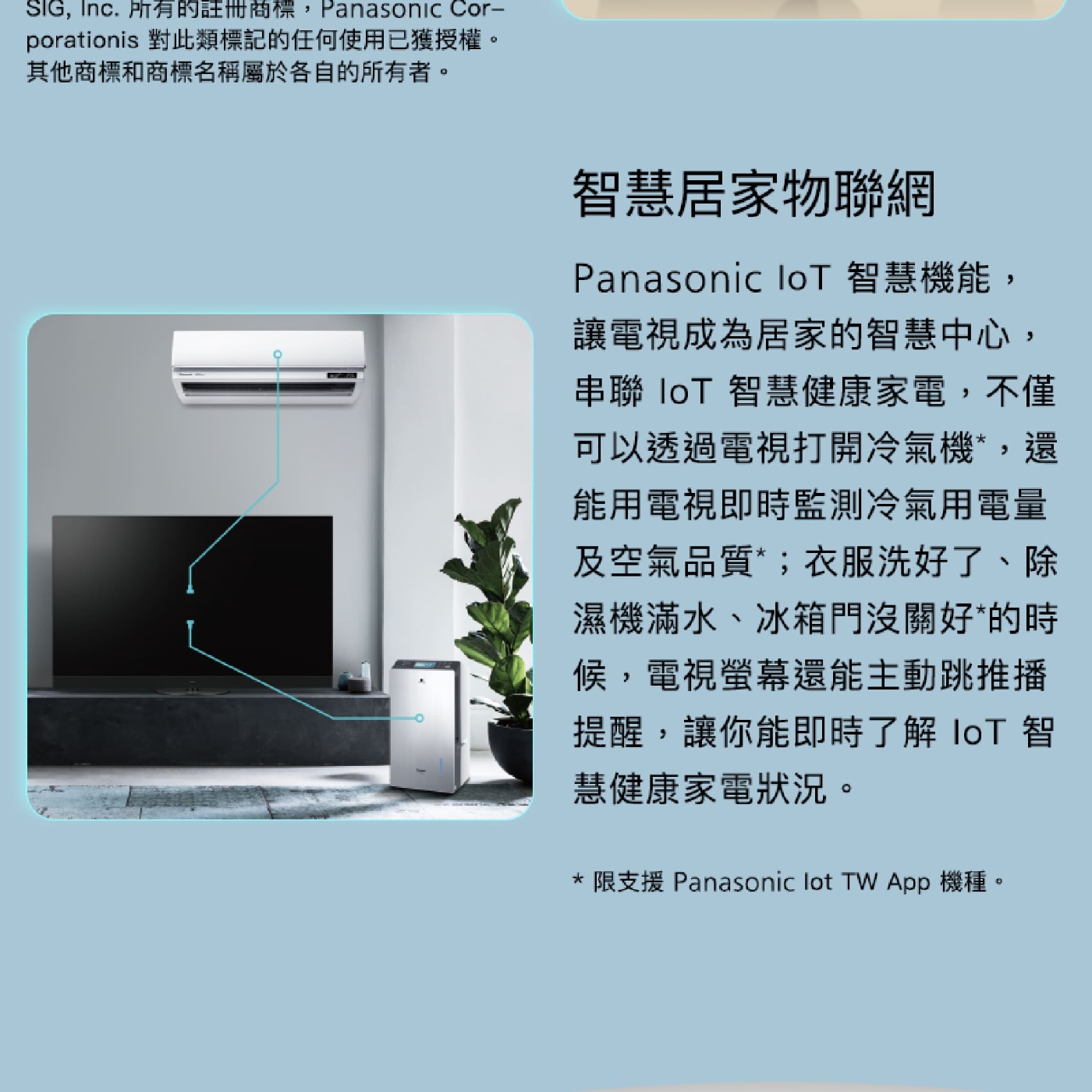 Panasonic國際牌 TN-32S60AGT - 詳情2