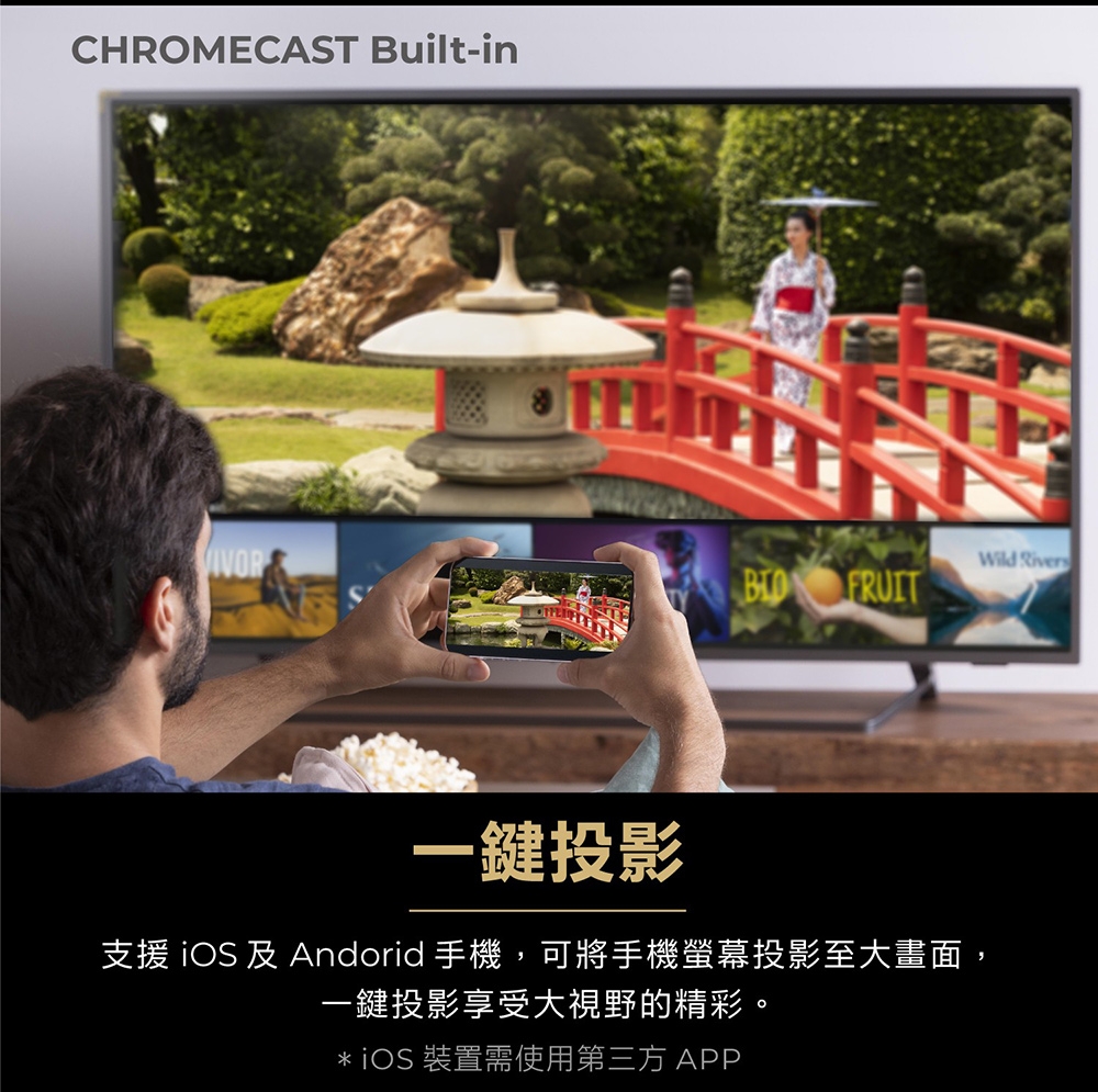 AIWA愛華 AI-55UD25 - 詳情2