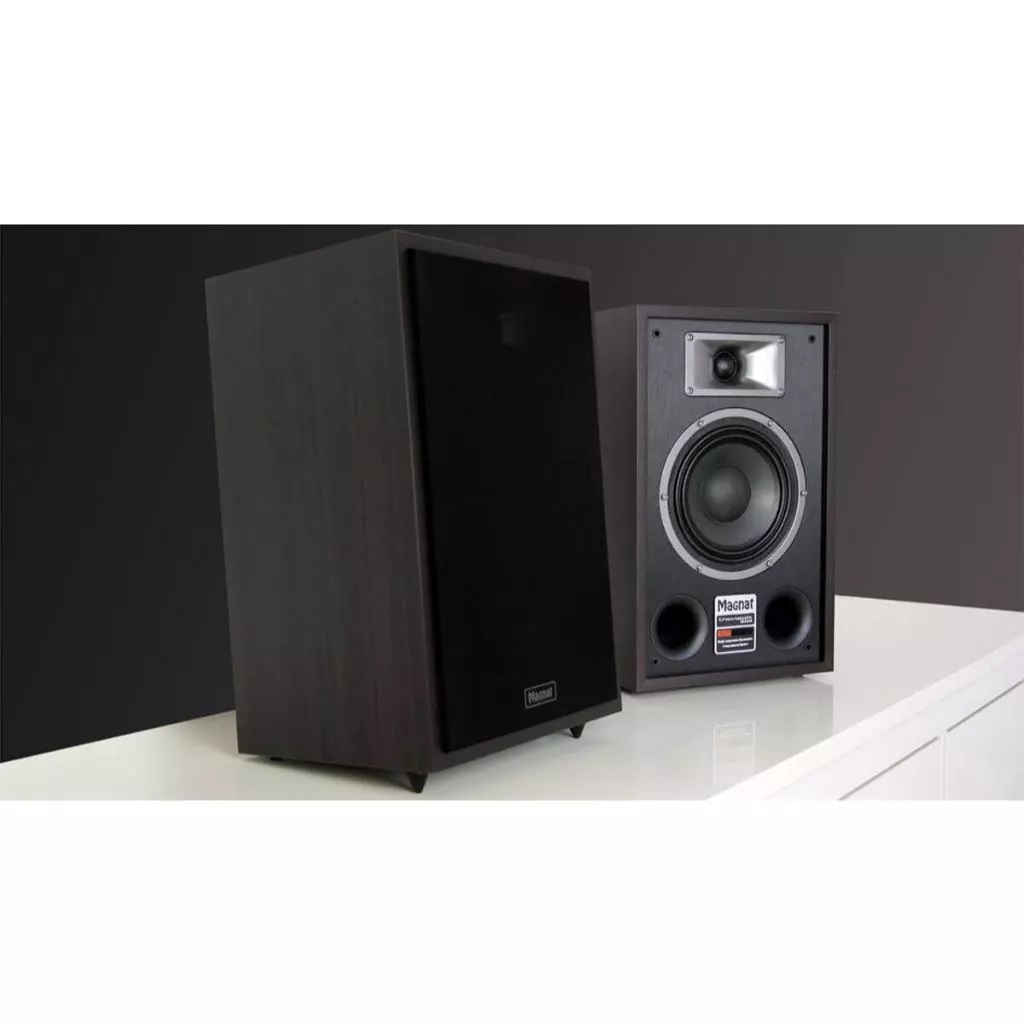 Magnat Transpuls 800A - 詳情2