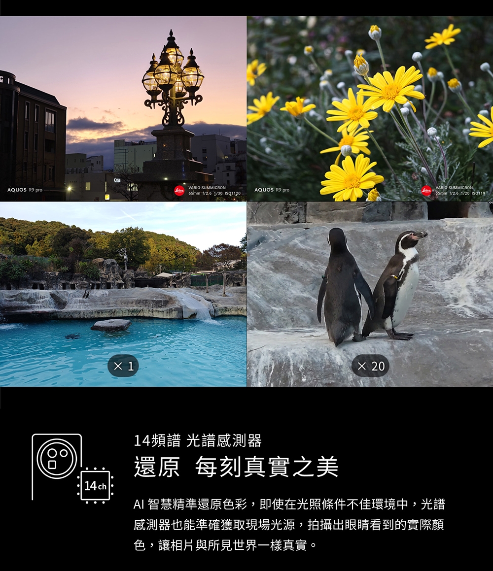 SHARP夏普 AQUOS R9 Pro - 詳情5