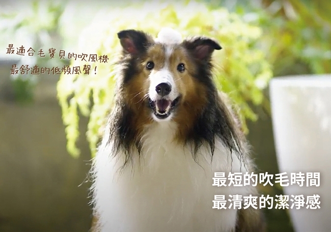 IONIZER達新牌 TS-6690 - 詳情1