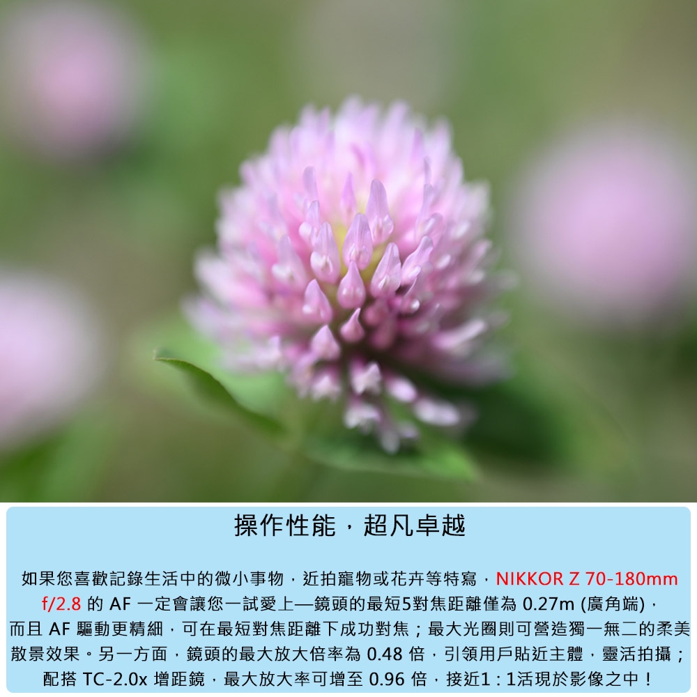 Nikon尼康 Z 70-180mm F/2.8 - 詳情2