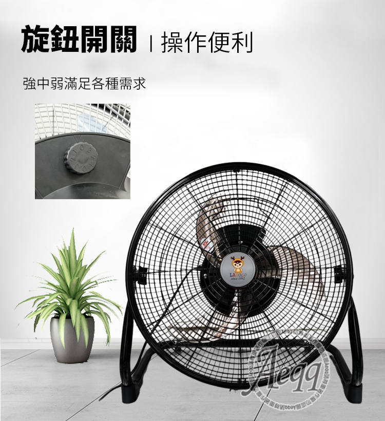 LAPOLO藍普諾 LA-1672 - 詳情2