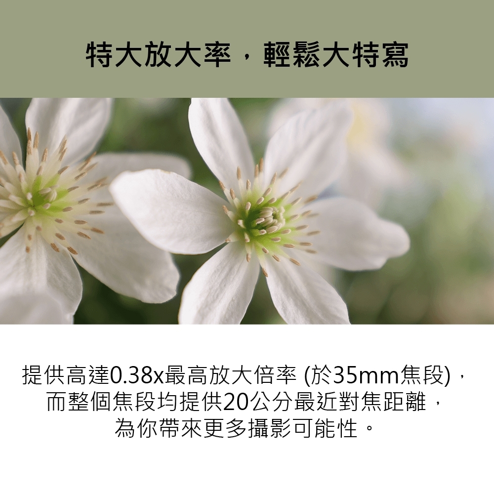 Canon佳能 RF 14-35mm F/4 L IS USM - 詳情2