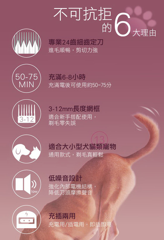 日象ZUSHIANG  ZOEH-5166G - 詳情2