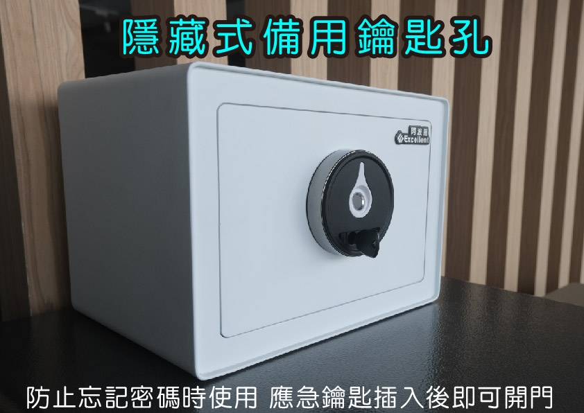 Excellent阿波羅 F1201S - 詳情4