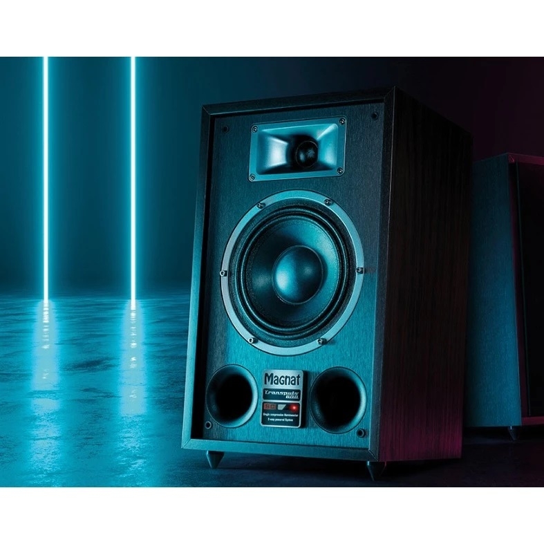 Magnat Transpuls 800A - 詳情3