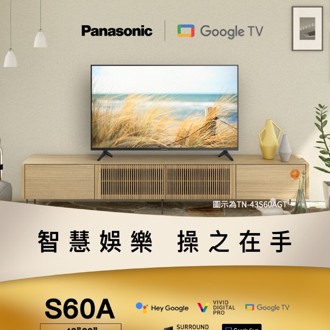 Panasonic國際牌 TN-32S60AGT - 詳情3