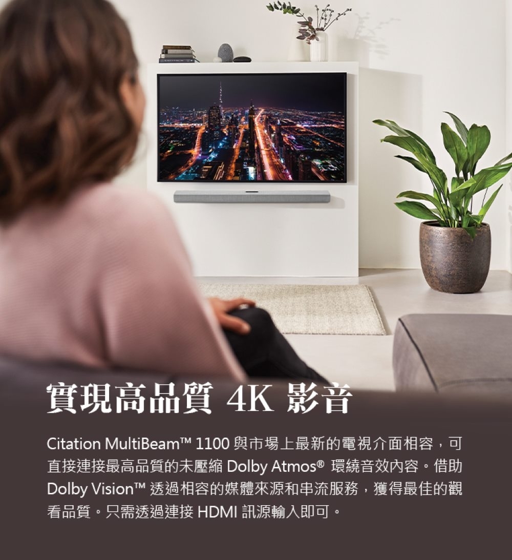 Harman Kardon Citation Multibeam 1100 - 詳情5