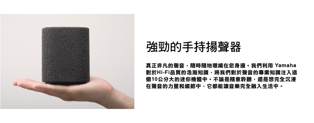 YAMAHA山葉 WS-B1A - 詳情5