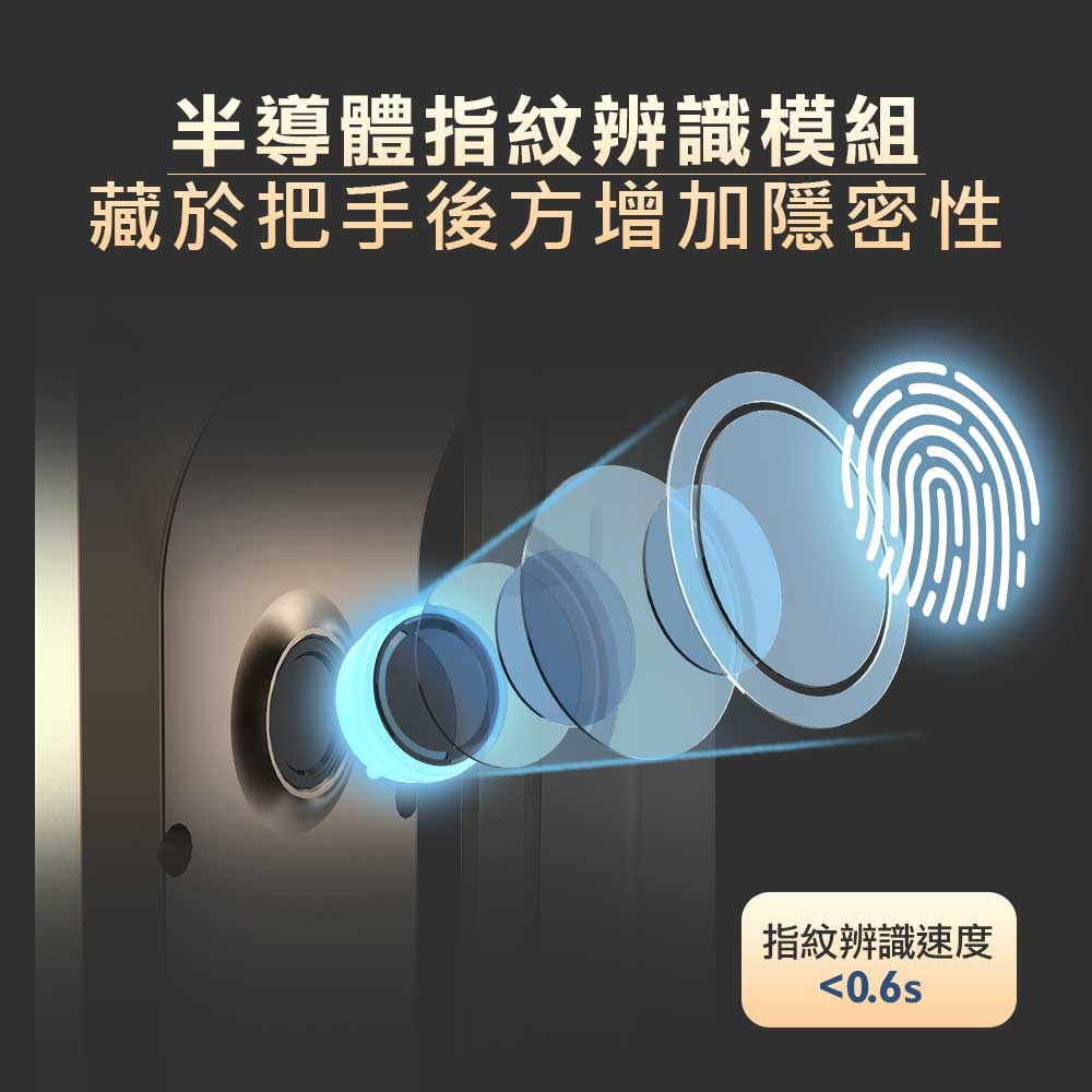 台熱牌 F1 - 詳情7