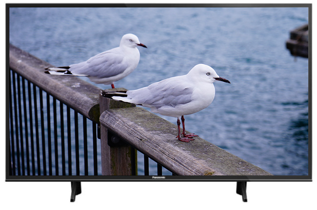 Panasonic國際49吋4K 智慧聯網液晶顯示器+視訊盒TH-49FX600W | 電視