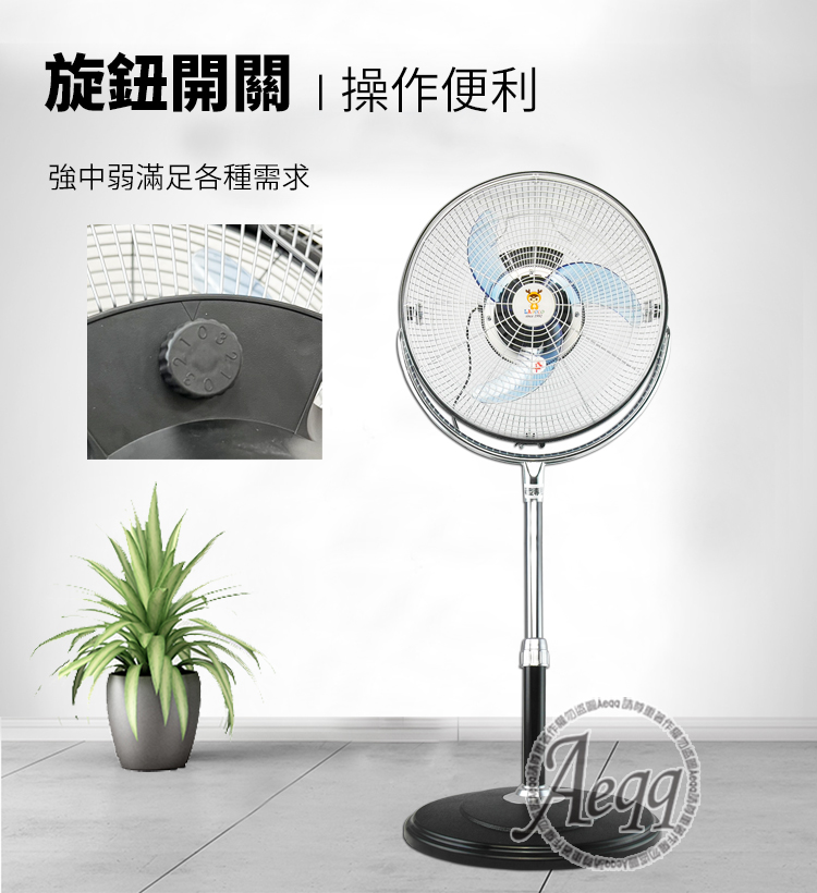 LAPOLO藍普諾 LA-1683 - 詳情2