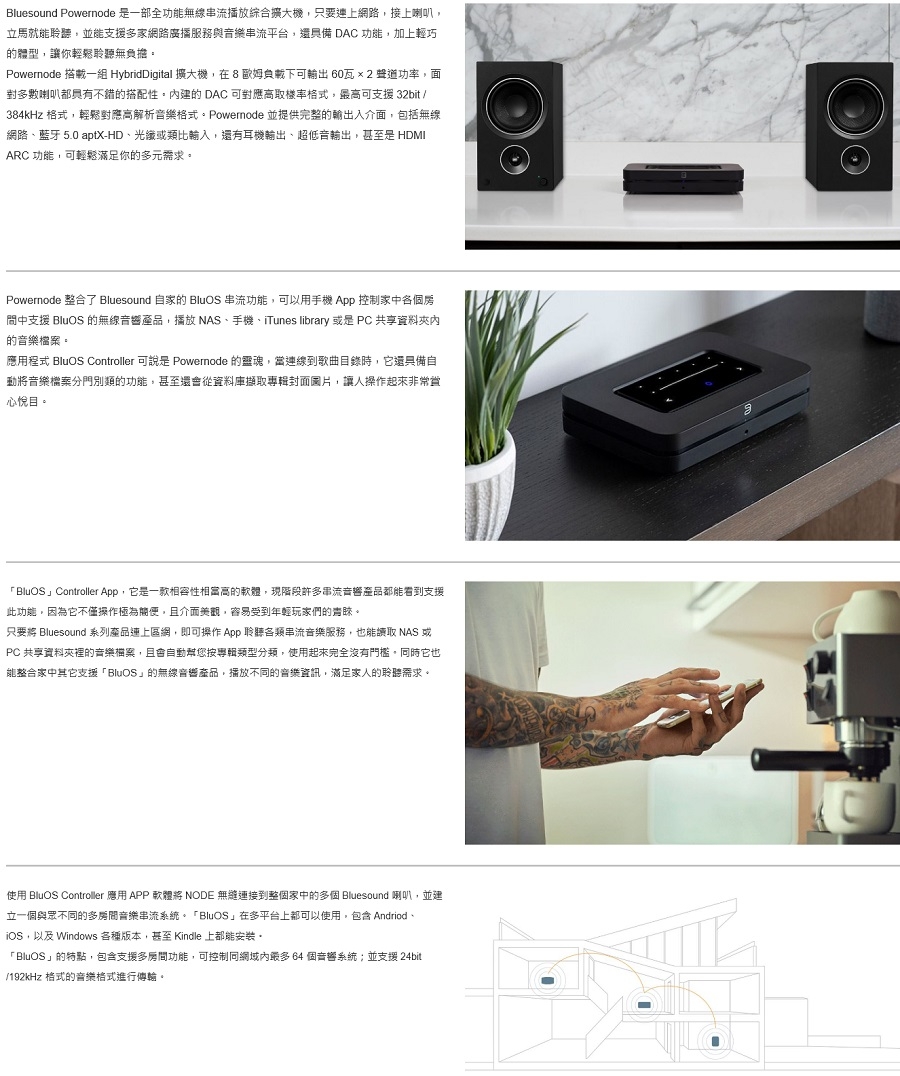 Bluesound POWERNODE - 詳情1