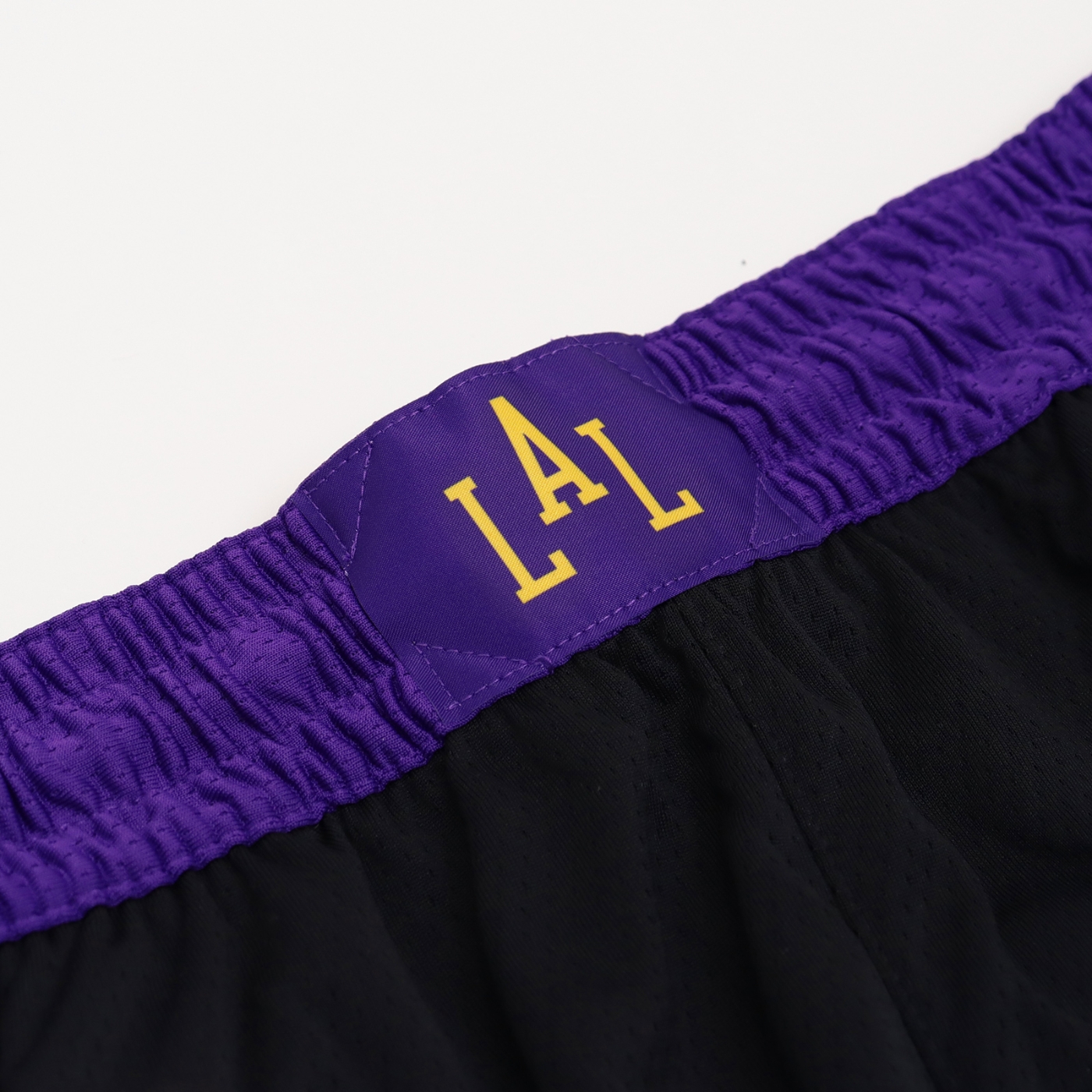 nike lebron atmos shorts