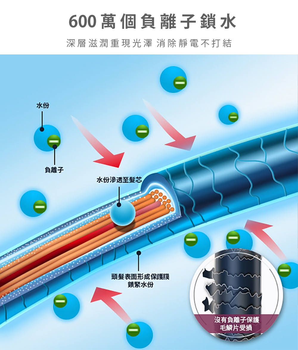 PRINCESS荷蘭公主 529431 - 詳情8