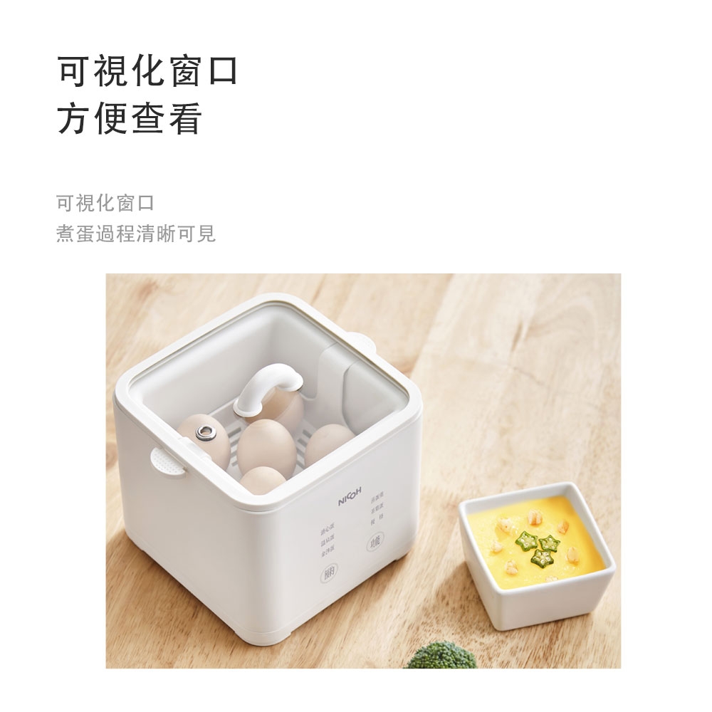 NICOH NEG-05 - 詳情5