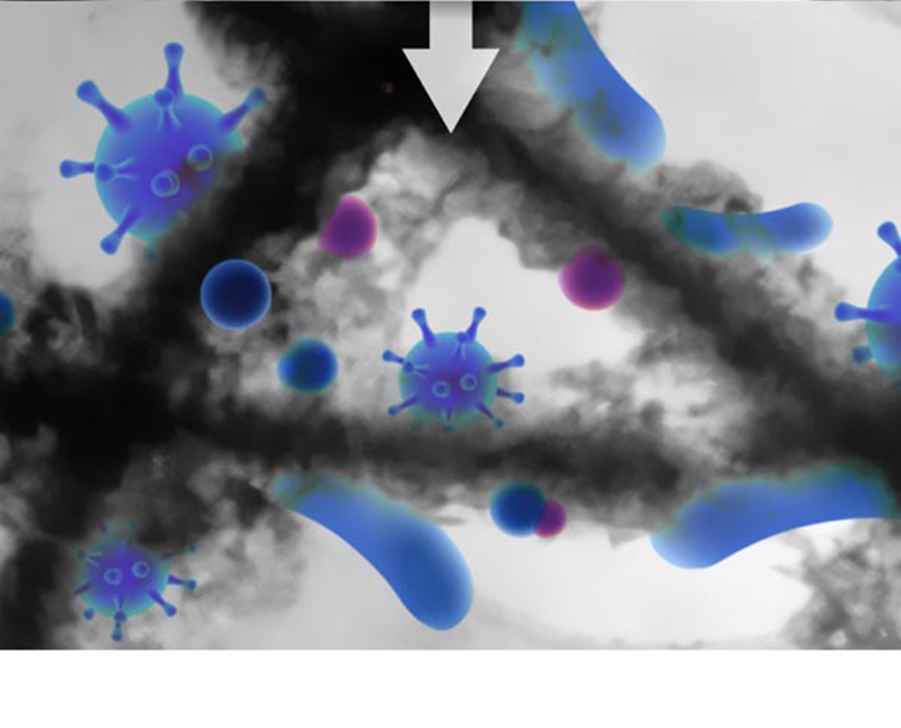 Acerpure WWD375 - 詳情5