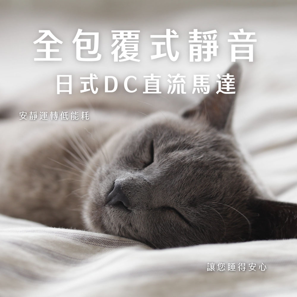 AIWA愛華 DF-M1621E - 詳情4