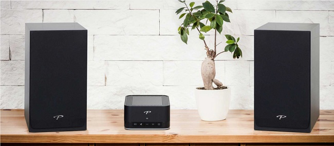 Paradigm Monitor SE Atom - 詳情4